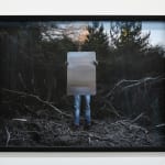 Steve Carr, Creeping Bush, 2025