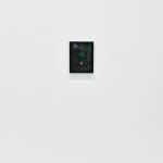 Steve Carr, Creeping Bush, 2025