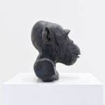 Lisa Roet, Skywalker Gibbon, 2018