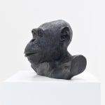 Lisa Roet, Skywalker Gibbon, 2018