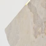 Mattia Bosco, Sezione Aurea, 2016