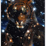 Reuben Paterson, Could That Be You (Constellation Southern Cross), 2024