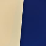 Matthew Browne, Player, 2011