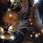 Reuben Paterson, Could That Be You (Constellation Southern Cross), 2024