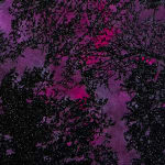 Reuben Paterson, One More Night (Constellation Leo), 2025