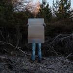 Steve Carr, Creeping Bush, 2025