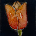 Martin Napier, Tulip IV