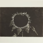 Ken Currie, War Worries, 1991