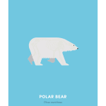 Under the Skin, Polar Bear, 2015