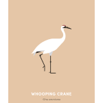 Under the Skin, Whooping Crane, 2019