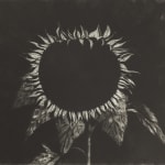 Ken Currie, War Worries, 1991