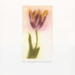 Elizabeth Blackadder, Japanese Still Life, 1986