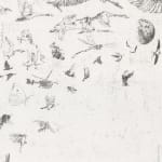 Shipei Wang, Duck, 2022