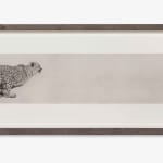 Guy Allen, Full Moon