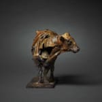 Fred Gordon, Ostrich Study