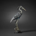 Fred Gordon, Ostrich Study