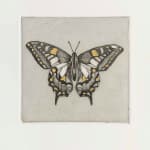 Guy Allen, Swallowtail Butterfly