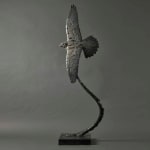 Fred Gordon, Ostrich Study