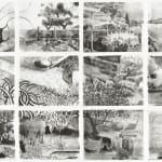 Zincography on paper 12 pieces individually framed of a landscape filled with tress and plants