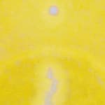 Anders Davidsen, vættelys, 2025