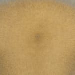 Anders Davidsen, vættelys, 2025