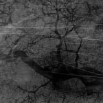 Dirk Braeckman, V.C.-L.M.-24, 2024