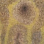 Anders Davidsen, vættelys, 2025