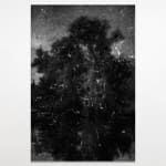 Dirk Braeckman, V.C.-L.M.-24, 2024