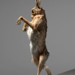 A taxidermy rabbit sculpture on a pedestal in an unrealistic for the animal contrapposto posture.