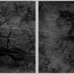 Dirk Braeckman, V.C.-L.M.-24, 2024
