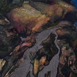 Kiki Xuebing Wang, Garden Wakes, 2025