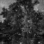 Dirk Braeckman, V.C.-L.M.-24, 2024