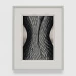 Julie Curtiss, Creamy locks, 2025