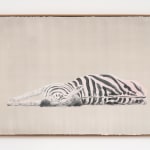 painted image of a zebra laying down atop a beige background