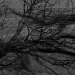Dirk Braeckman, V.C.-L.M.-24, 2024