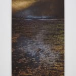 Dirk Braeckman, ECHTZEIT#046-24, 2024