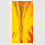 Louise Giovanelli, Mise en scène, 2024