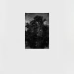 Dirk Braeckman, V.C.-L.M.-24, 2024