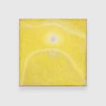 Anders Davidsen, vættelys, 2025