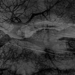 Dirk Braeckman, V.C.-L.M.-24, 2024