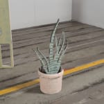 Arturo Kameya, Prosperity, 2021