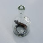 image of a blown glass bottle holding an eel