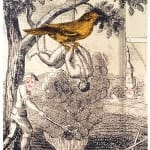 Woodcut and etching of a man tied to a tree with a yellow bird on top of him while he is dangled above a fire while another figure turns the fire