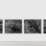 Dirk Braeckman, V.C.-L.M.-24, 2024