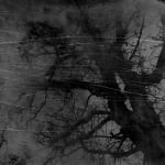 Dirk Braeckman, V.C.-L.M.-24, 2024