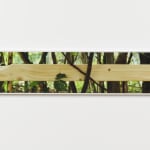 Two color photographs of a wooden plank sitting in tree branches.