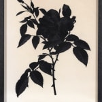 Ruby Chishti, A Thousand Flowers: Lost and Preserved ll, 2021