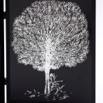 Paramjit Singh, Untitled, 2025