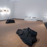 Avtarjeet Dhanjal, Dunstall Henge, Wolverhampton (1986)