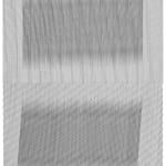 Mohammad Ali Talpur, Untitled , 2023